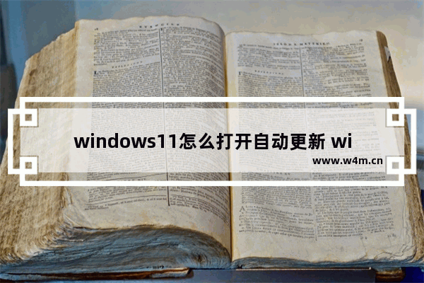 windows11怎么打开自动更新 windows11如何打开自动更新