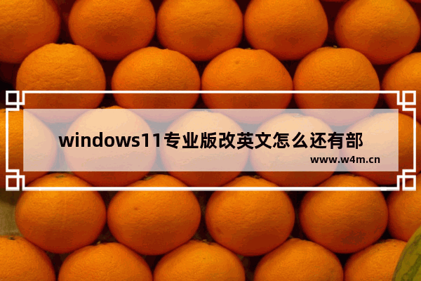 windows11专业版改英文怎么还有部分中文 windows11专业版改英文怎么还有部分中文解决方法