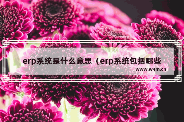 erp系统是什么意思（erp系统包括哪些）