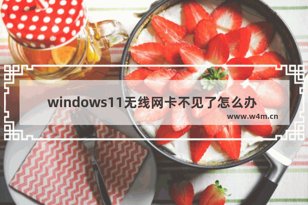 windows11无线网卡不见了怎么办 windows11无线网卡不见了解决教程