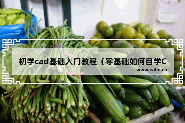 初学cad基础入门教程（零基础如何自学CAD）