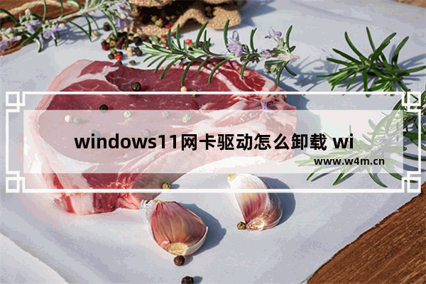 windows11网卡驱动怎么卸载 windows11网卡驱动卸载教程