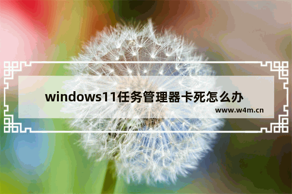 windows11任务管理器卡死怎么办 windows11任务管理器卡死解决方案