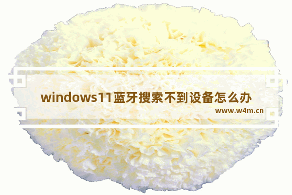 windows11蓝牙搜索不到设备怎么办 windows11蓝牙搜索不到设备解决方法