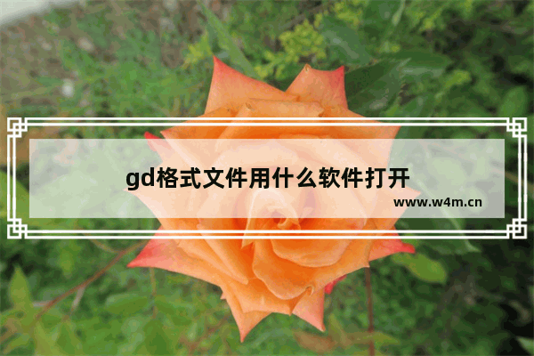 gd格式文件用什么软件打开