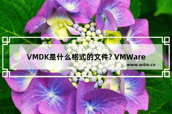 VMDK是什么格式的文件? VMWare导入WMDK文件并解析的方法