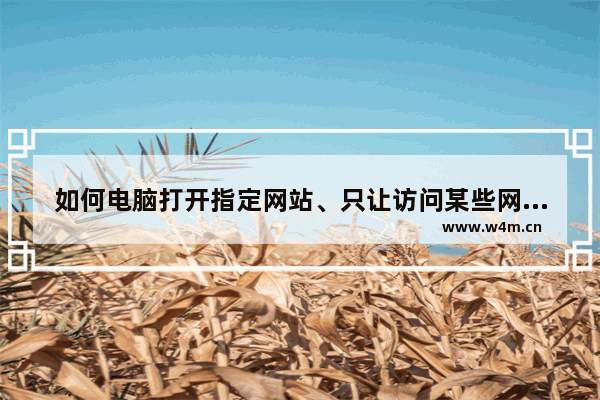 如何电脑打开指定网站、只让访问某些网站以及怎样禁止打开某个网站的方法