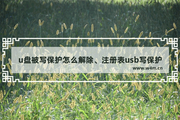 u盘被写保护怎么解除、注册表usb写保护、u盘写保护怎么去掉