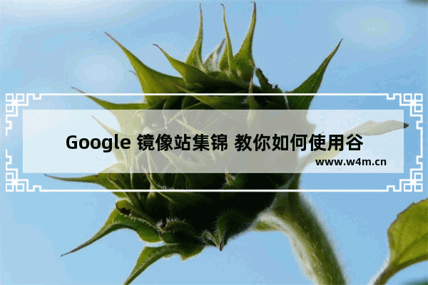 Google 镜像站集锦 教你如何使用谷歌搜索