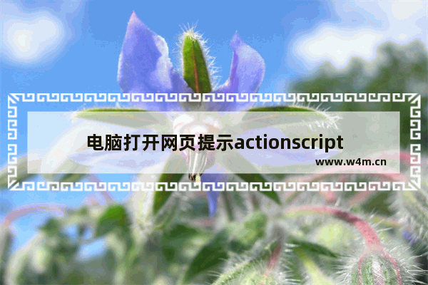 电脑打开网页提示actionscript错误该怎么办?