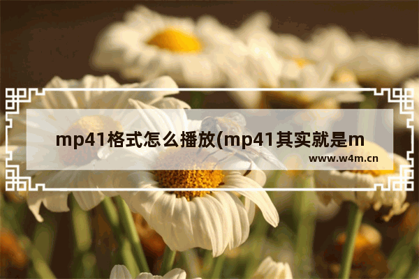 mp41格式怎么播放(mp41其实就是mp4文件)