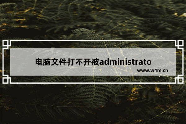 电脑文件打不开被administrator锁定怎么办?