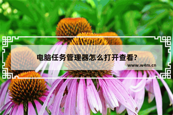 电脑任务管理器怎么打开查看?