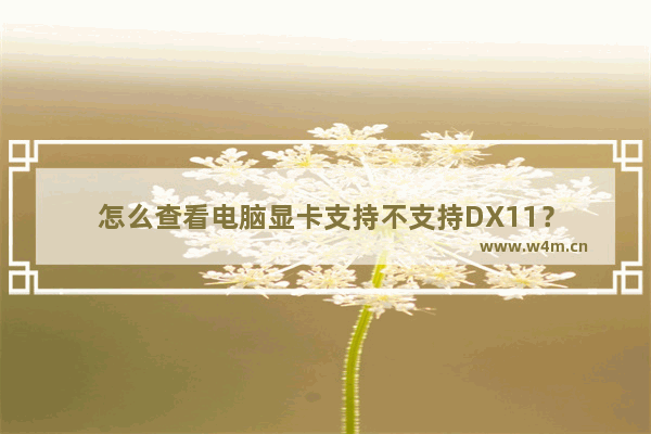 怎么查看电脑显卡支持不支持DX11？