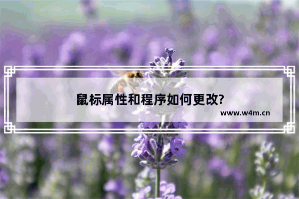 鼠标属性和程序如何更改?