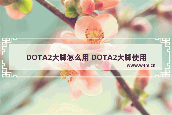 DOTA2大脚怎么用 DOTA2大脚使用教程