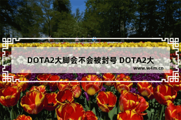 DOTA2大脚会不会被封号 DOTA2大脚会封号吗