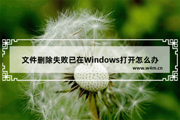 文件删除失败已在Windows打开怎么办？