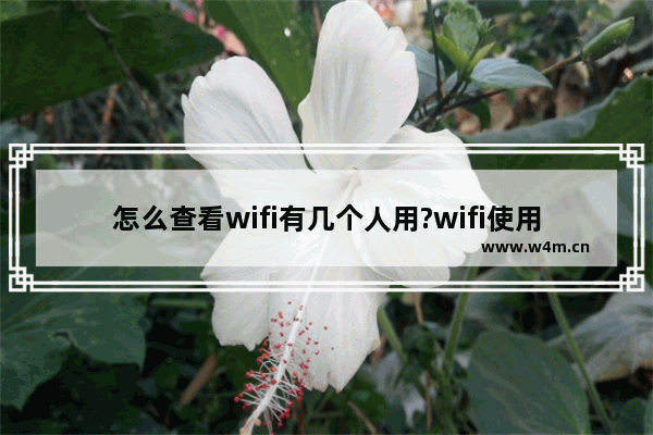 怎么查看wifi有几个人用?wifi使用人数查看方法