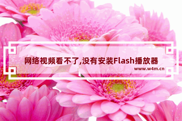 网络视频看不了,没有安装Flash播放器,视频显示空白没有内容的解决方法