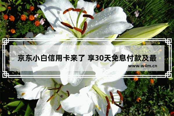 京东小白信用卡来了 享30天免息付款及最长50天免息还款服务