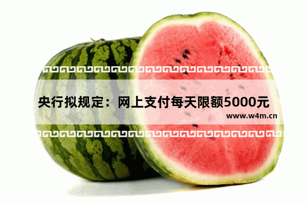 央行拟规定：网上支付每天限额5000元