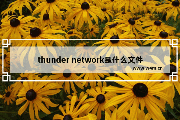 thunder network是什么文件夹？thunder network删除详细方法