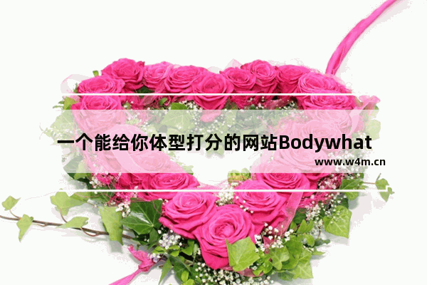 一个能给你体型打分的网站Bodywhat：95%准确