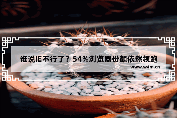 谁说IE不行了？54%浏览器份额依然领跑全场