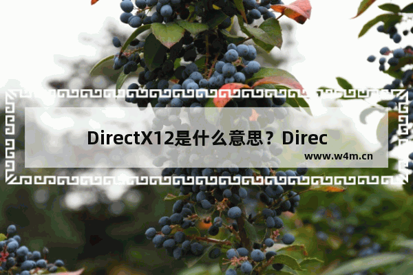 DirectX12是什么意思？DirectX12有什么功能和作用？