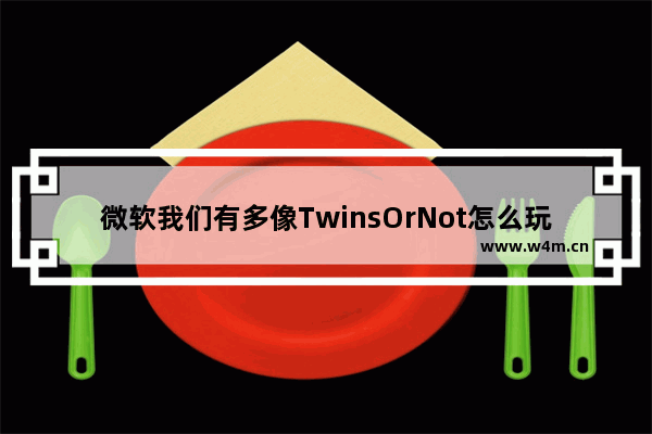 微软我们有多像TwinsOrNot怎么玩?TwinsOrNot.net使用教程