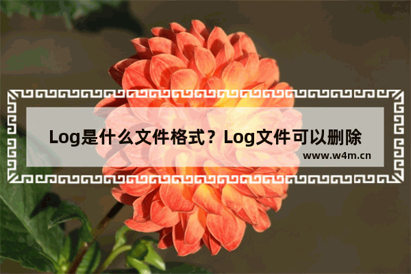 Log是什么文件格式？Log文件可以删除吗？