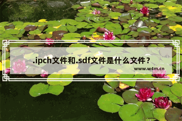 .ipch文件和.sdf文件是什么文件？重要吗能删吗？