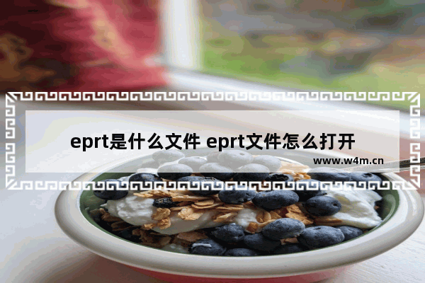 eprt是什么文件 eprt文件怎么打开