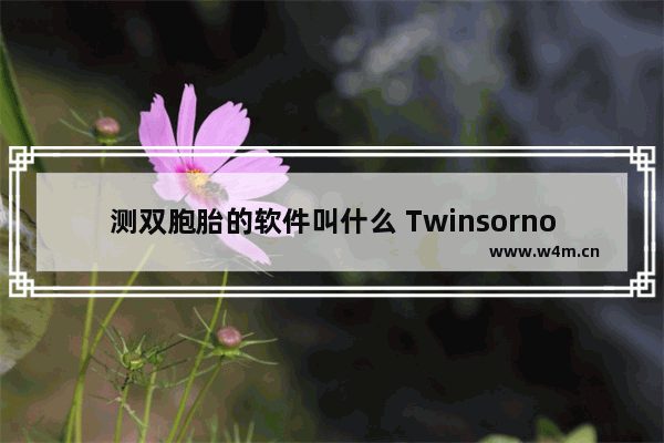 测双胞胎的软件叫什么 Twinsornot.net网址