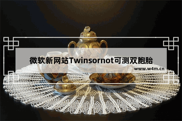 微软新网站Twinsornot可测双胞胎：王自如和刘翔亮了