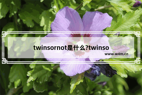 twinsornot是什么?twinsornot使用详细图文教程