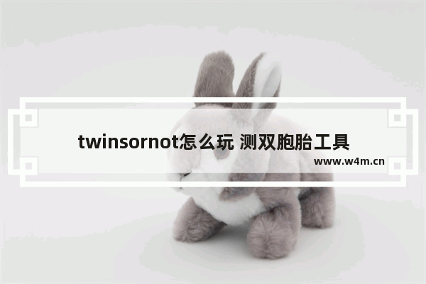 twinsornot怎么玩 测双胞胎工具twinsornot使用方法