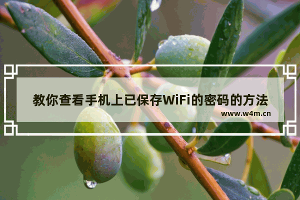 教你查看手机上已保存WiFi的密码的方法