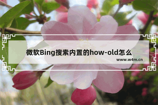 微软Bing搜索内置的how-old怎么用?