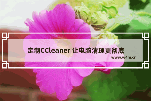 定制CCleaner 让电脑清理更彻底