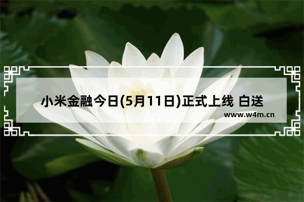 小米金融今日(5月11日)正式上线 白送10000元体验金　附官方地址