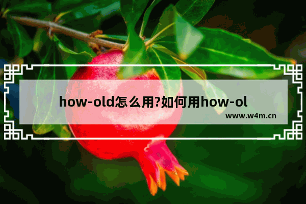 how-old怎么用?如何用how-old测颜龄?