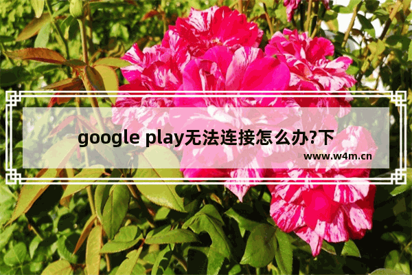 google play无法连接怎么办?下载ApkLeecher神器专治