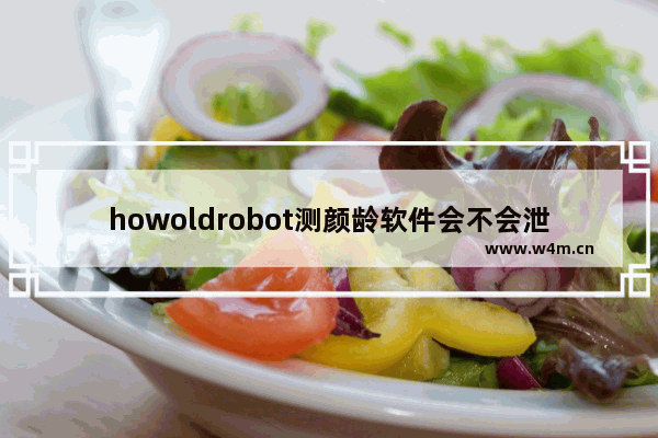 howoldrobot测颜龄软件会不会泄漏我们的隐私?