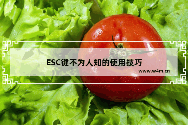 ESC键不为人知的使用技巧