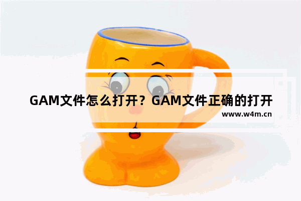 GAM文件怎么打开？GAM文件正确的打开方式