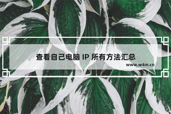 查看自己电脑 IP 所有方法汇总