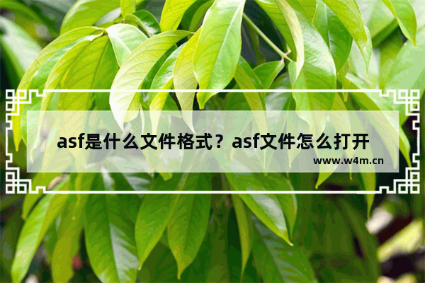 asf是什么文件格式？asf文件怎么打开？