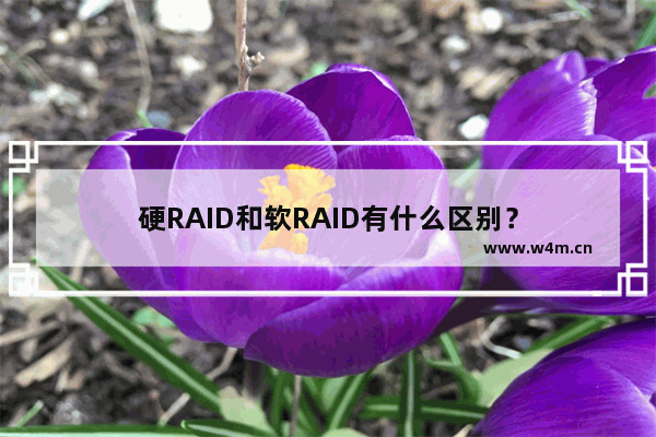 硬RAID和软RAID有什么区别？